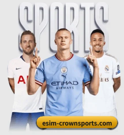 我们在做什么（CROWN SPORTS）